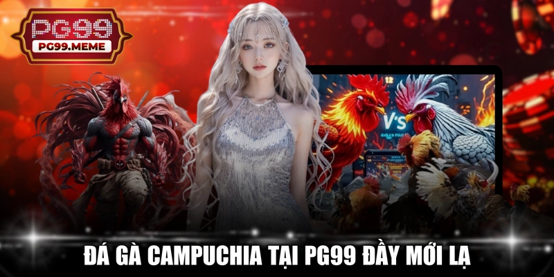 Đá gà Campuchia tại PG99 đầy mới lạ