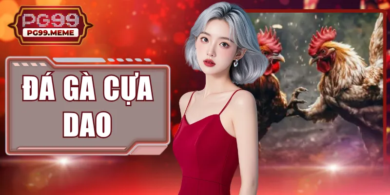 Đá Gà Cựa Dao PG99: Đỉnh Cao Kịch Tính Và Sức Hút Khó Cưỡng