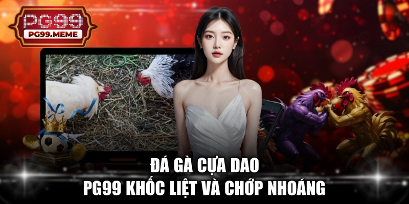 Đá gà cựa dao PG99 khốc liệt và chớp nhoáng