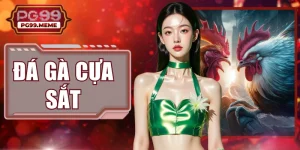 Đá Gà Cựa Sắt 2026: Nắm Bắt 3 Quy Định Cơ Bản Giúp Thắng Lớn