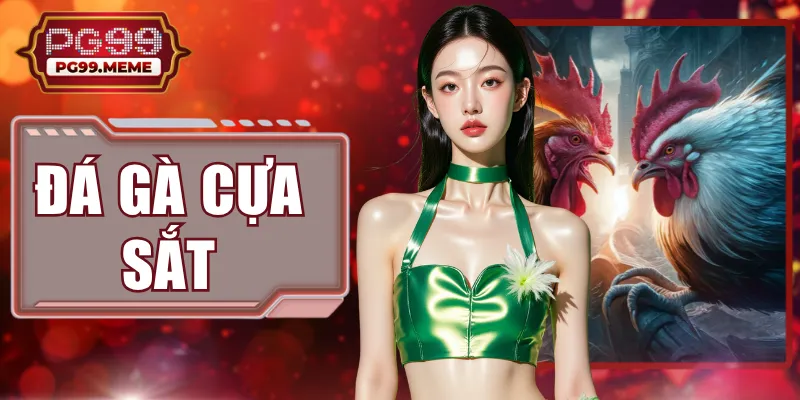 Đá Gà Cựa Sắt 2026: Nắm Bắt 3 Quy Định Cơ Bản Giúp Thắng Lớn