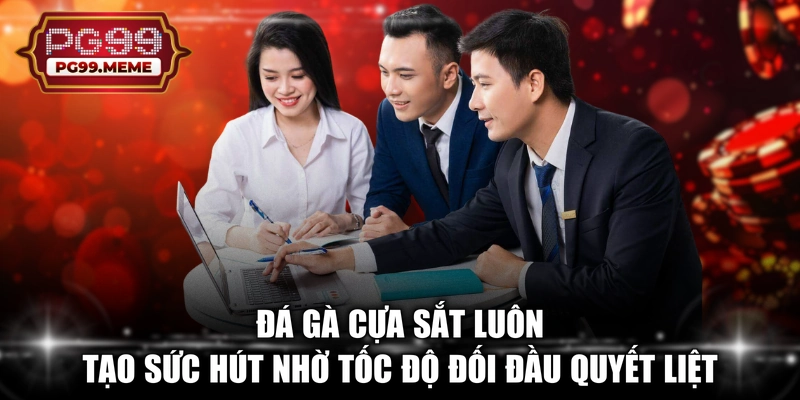 Đá gà cựa sắt luôn tạo sức hút nhờ tốc độ đối đầu quyết liệt