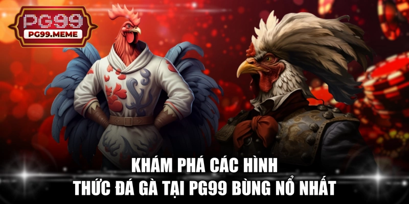 Khám phá các hình thức đá gà tại PG99 bùng nổ nhất