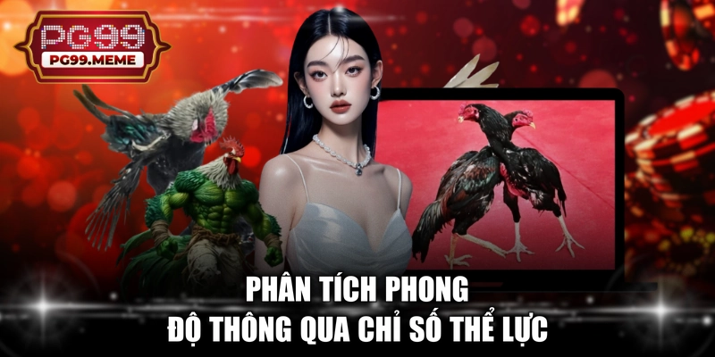 Phân tích phong độ thông qua chỉ số thể lực