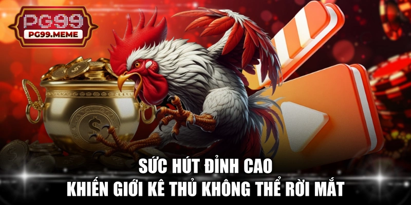 Sức hút đỉnh cao khiến giới kê thủ không thể rời mắt